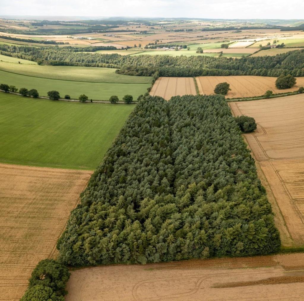 Farm land for sale in Kingthorpe, Pickering, YO18