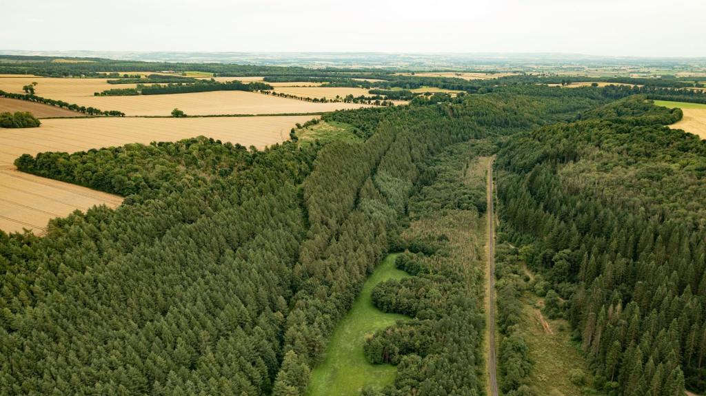 Farm land for sale in Kingthorpe, Pickering, YO18