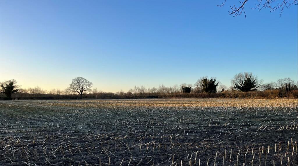 Land for rent in North Moor Road, Easingwold, York, YO61