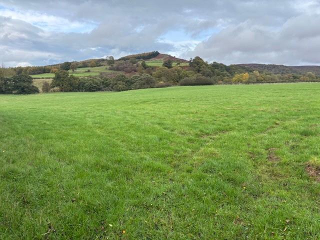 Main image of property: Bilsdale, Middlesbrough