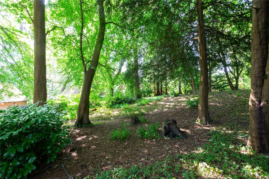 Additional property image - Western Road, Poole, Dorset, BH13