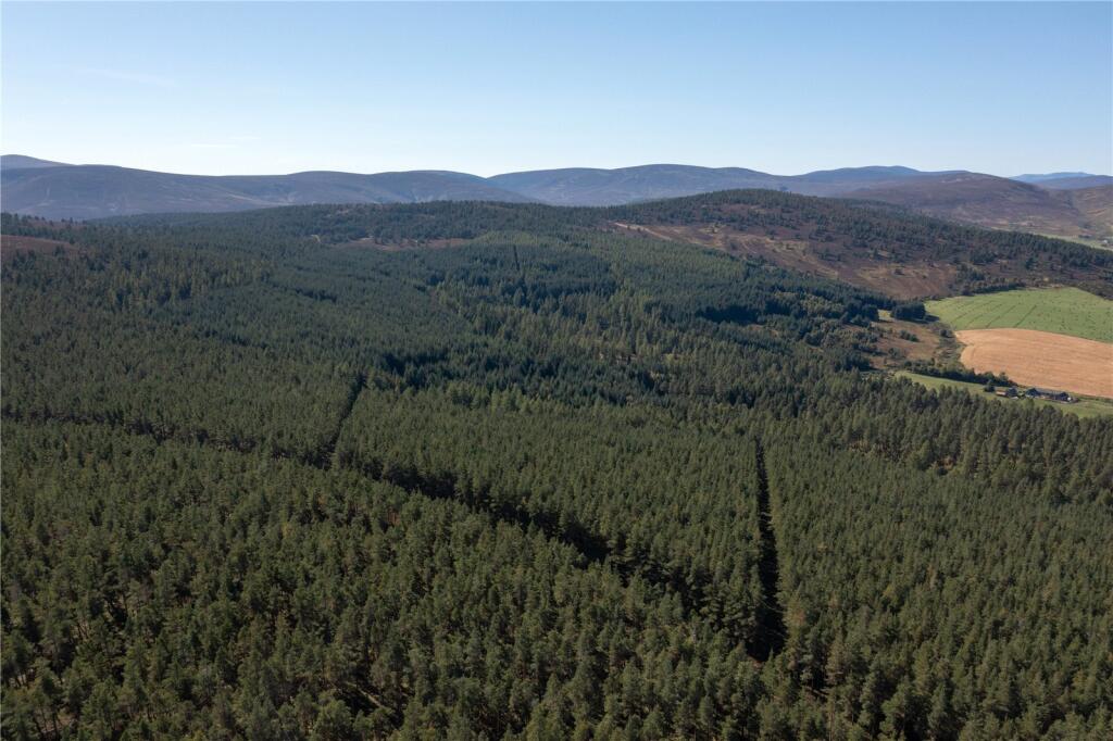 Additional property image - Arntilly Wood, Banchory, Aberdeenshire, AB34