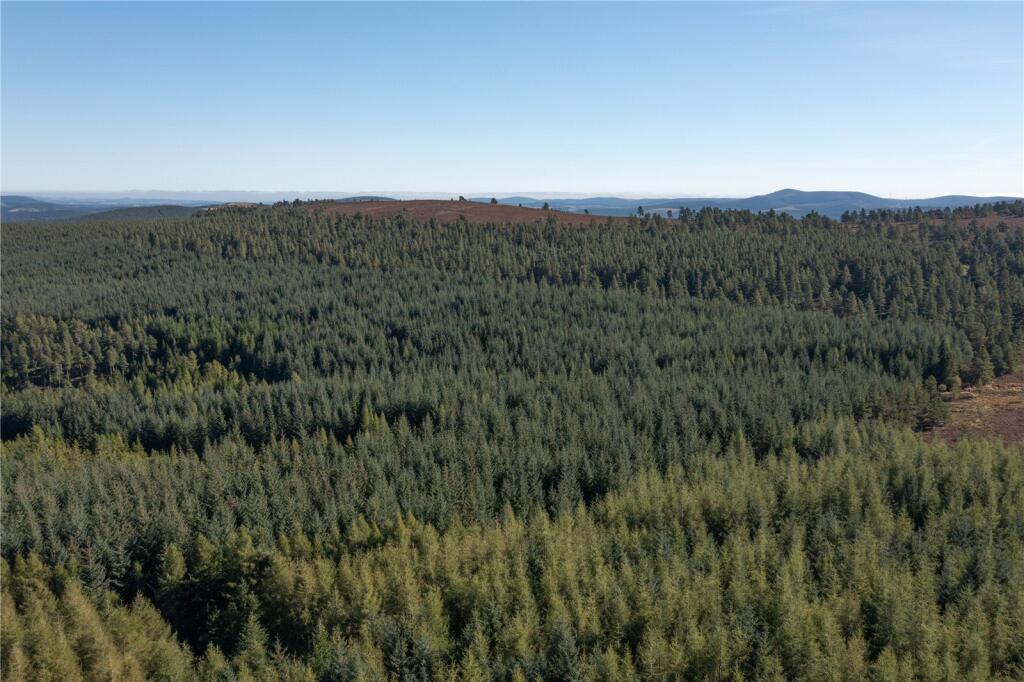 Additional property image - Arntilly Wood, Banchory, Aberdeenshire, AB34