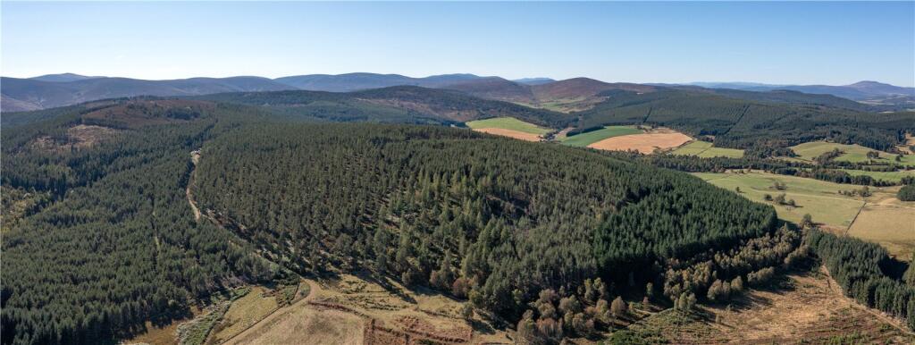 Additional property image - Arntilly Wood, Banchory, Aberdeenshire, AB34
