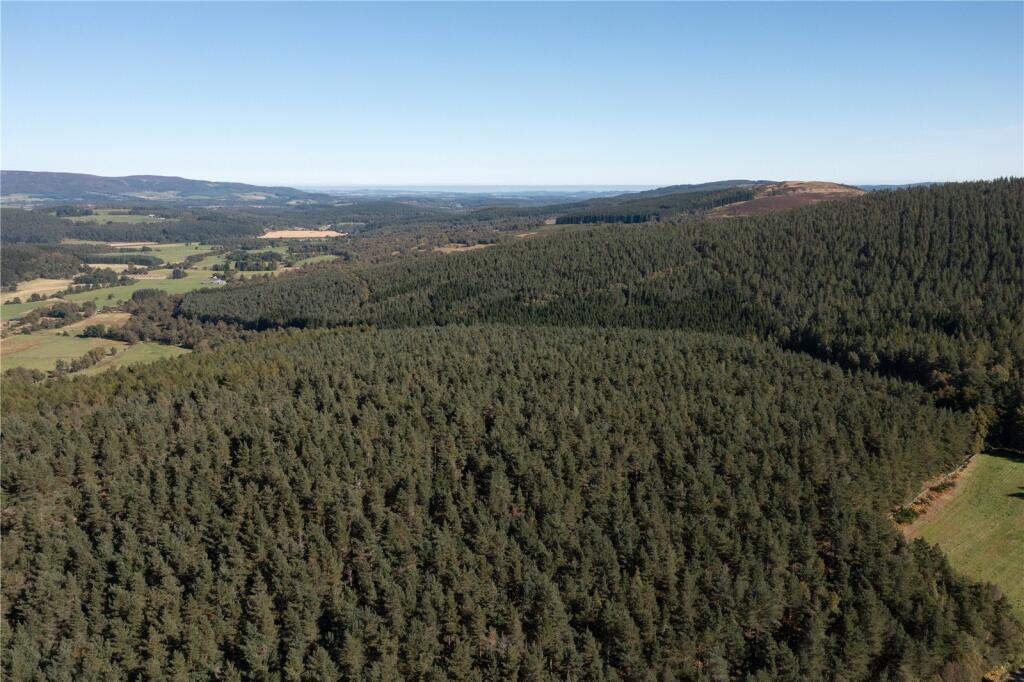 Additional property image - Arntilly Wood, Banchory, Aberdeenshire, AB34