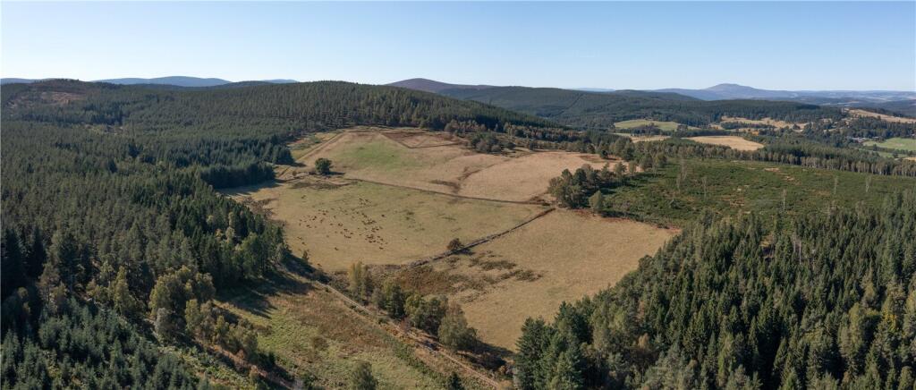 Additional property image - Arntilly Wood, Banchory, Aberdeenshire, AB34