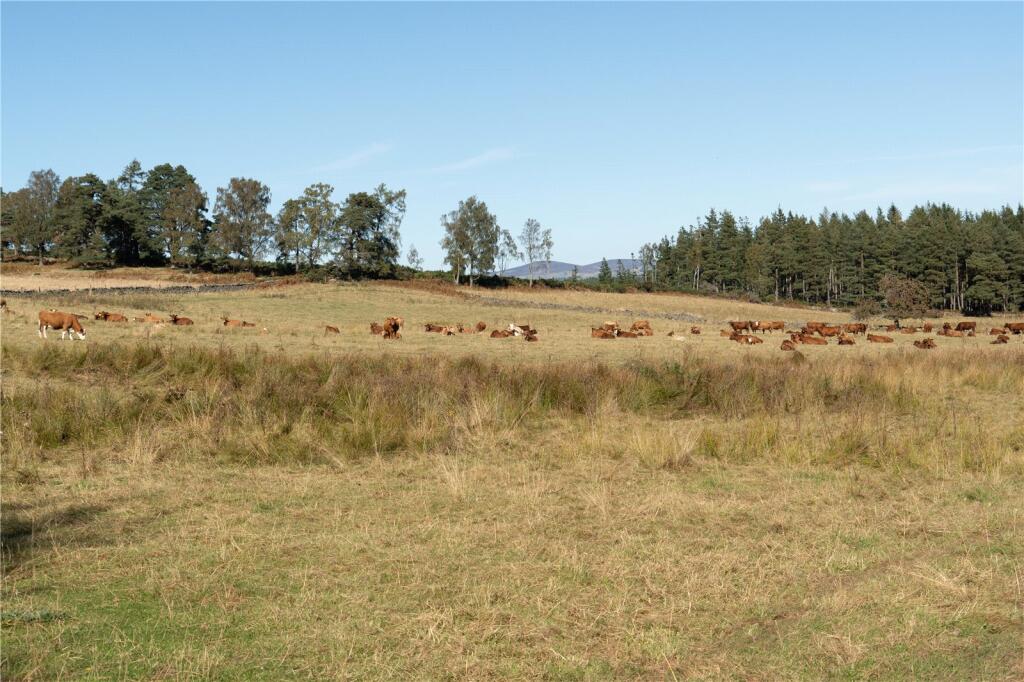 Additional property image - Arntilly Wood, Banchory, Aberdeenshire, AB34
