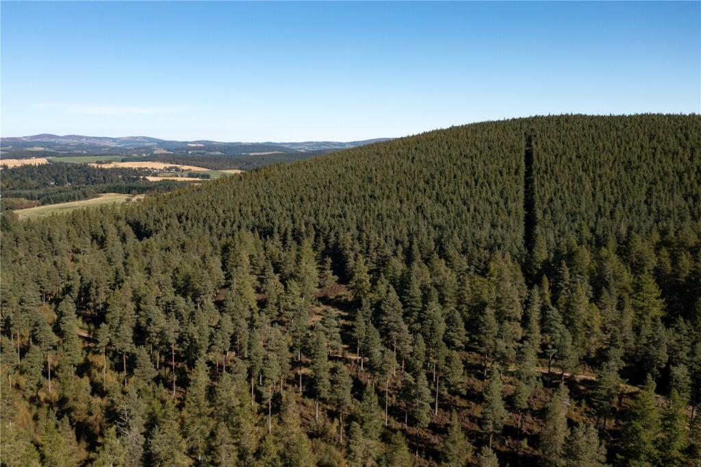 Additional property image - Arntilly Wood, Banchory, Aberdeenshire, AB34