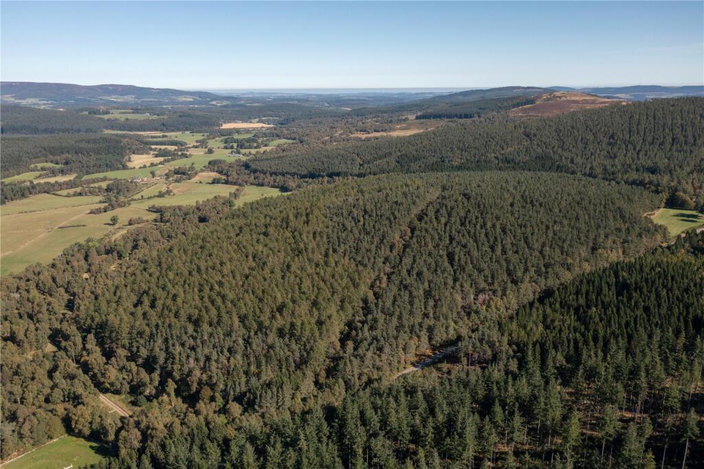 Additional property image - Arntilly Wood, Banchory, Aberdeenshire, AB34