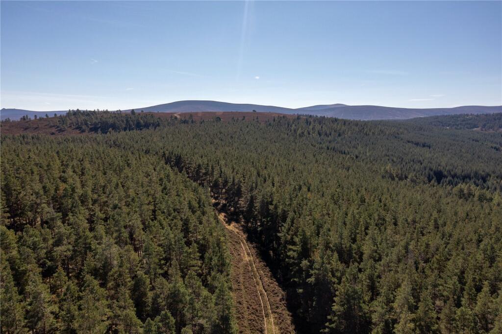 Additional property image - Arntilly Wood, Banchory, Aberdeenshire, AB34
