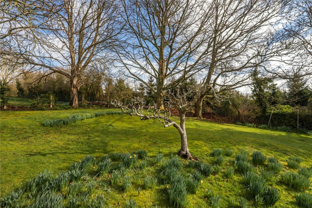 6 bedroom detached house for sale in Newtown, Witchampton, Wimborne