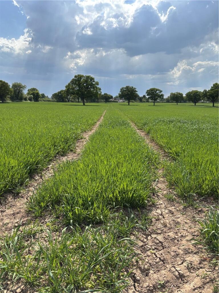 Main image of property: Outlying Portions of the Iscoyd Estate - Lot 1, Whitchurch, Wrexham, SY13