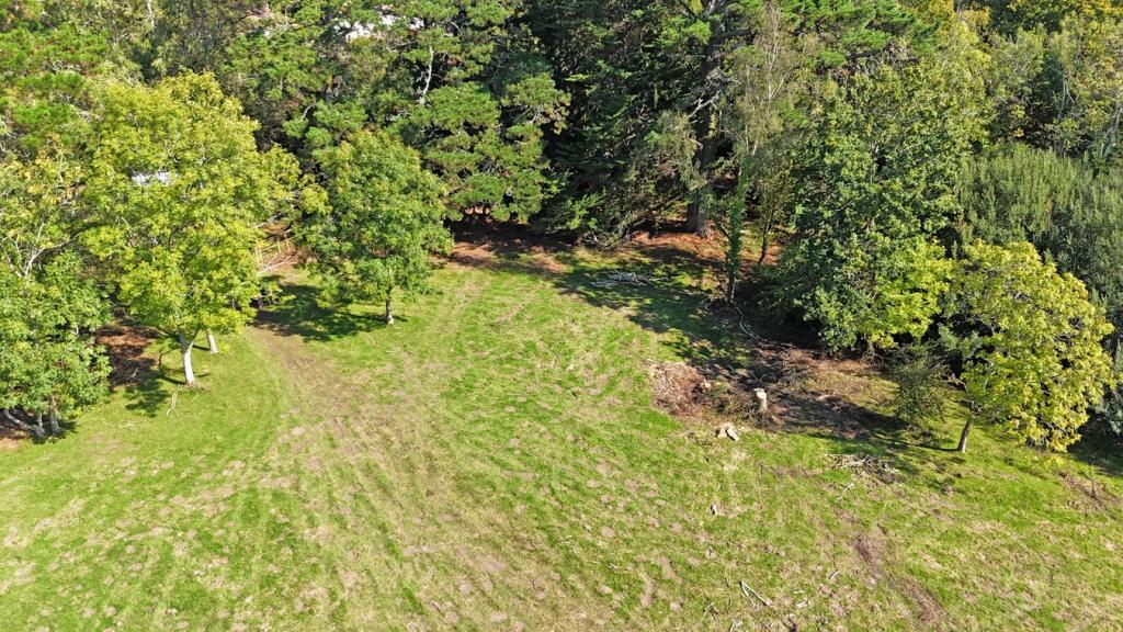 Main image of property: Honey Lane, Burley, BH24