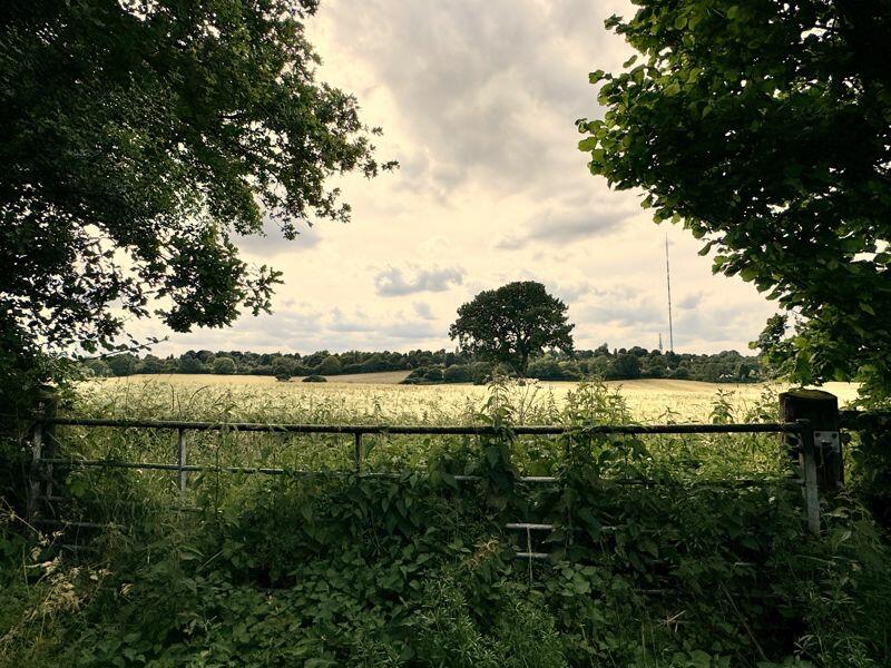 Additional property image - Homestead Drive, Four Oaks, Sutton Coldfield, B75 5LN