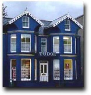 Tudor Estate Agents, Pwllhelibranch details