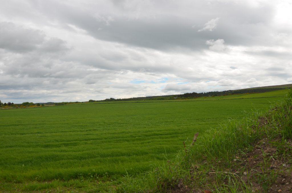 Land for sale in Rashcrook, Birnie, Elgin, Moray, IV30 8SW, IV30