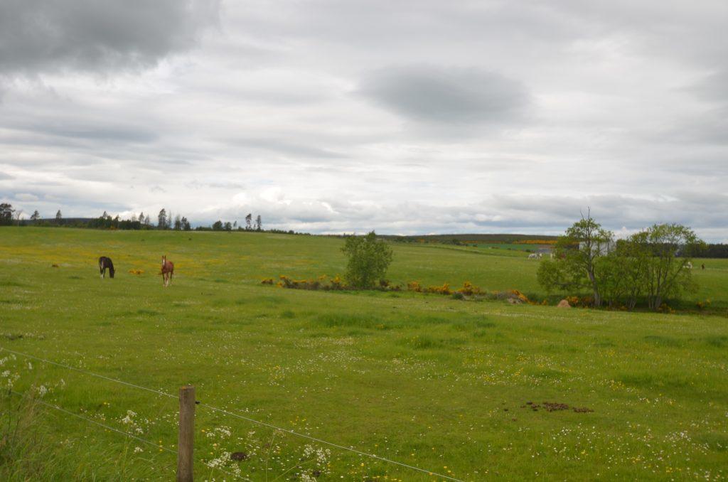Land for sale in Rashcrook, Birnie, Elgin, Moray, IV30 8SW, IV30