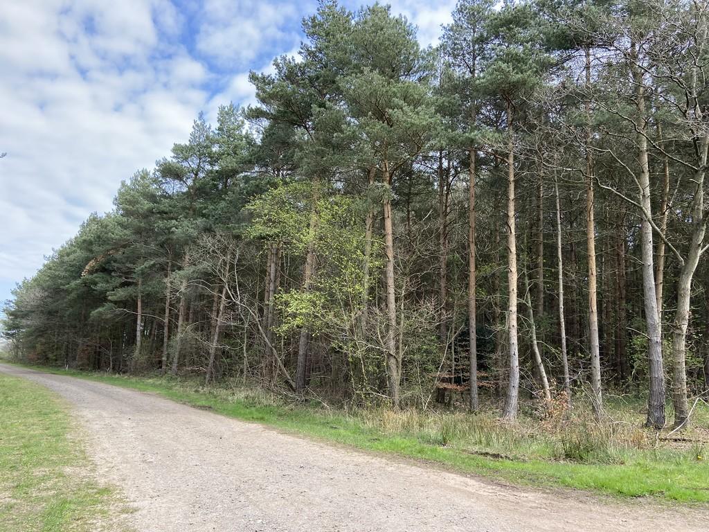 Leisure facility for sale in Holiday Lodge Plots at Wingate Woods (Part