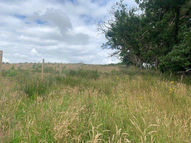 Main image of property: Land At Westsidewood, Carnwath, South Lanarkshire, ML11
