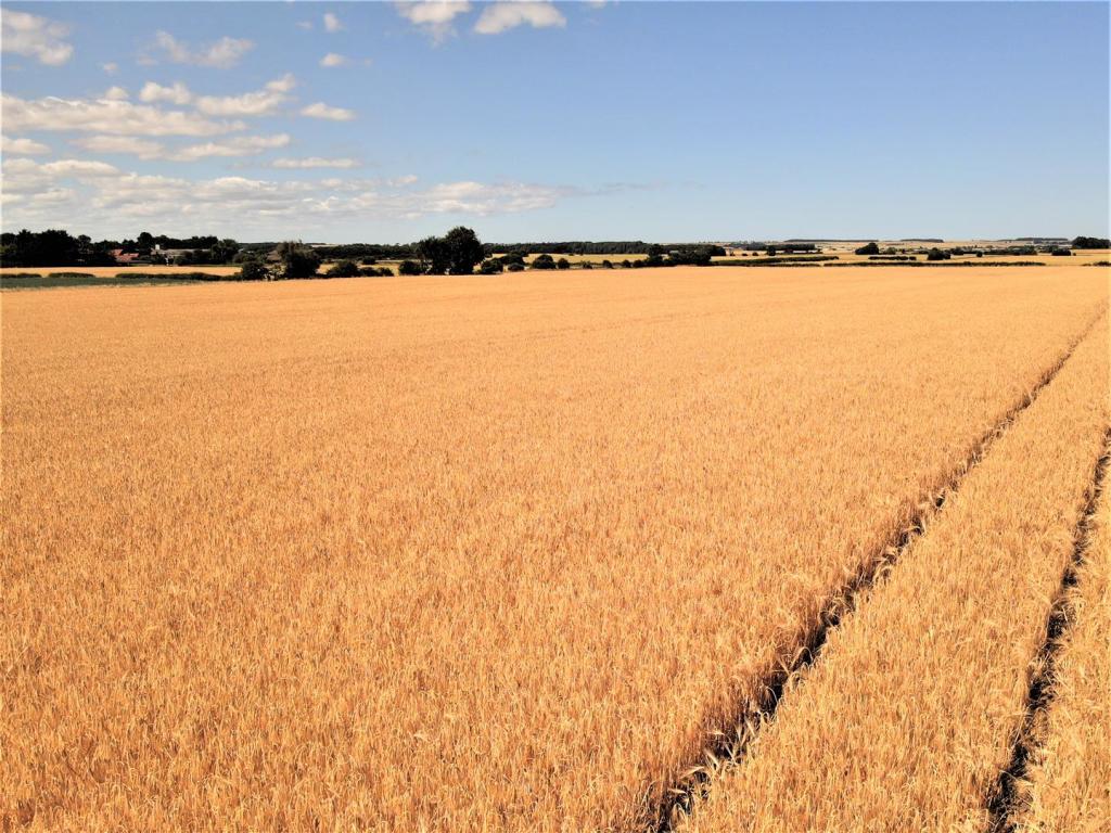 Land for sale in Gransmoor, Driffield, YO25