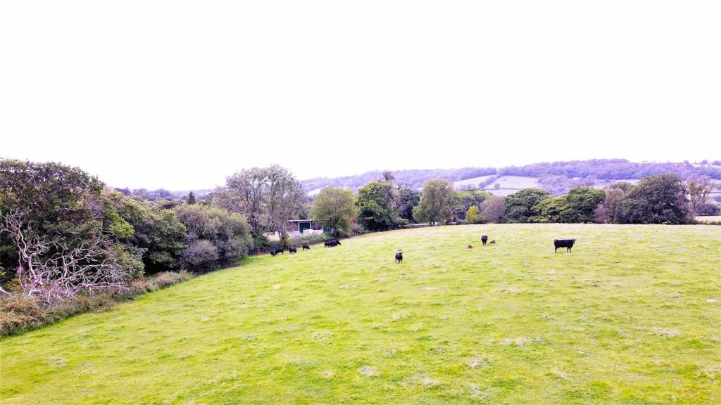 7 bedroom detached house for sale in Lampeter Velfrey, Narberth