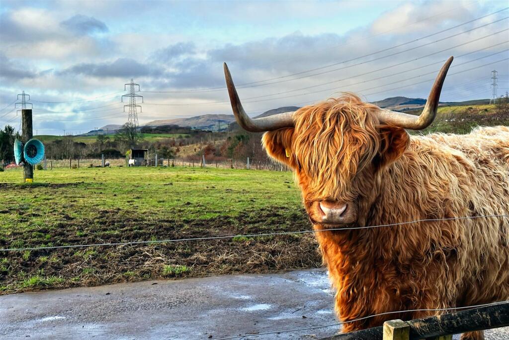 Main image of property: Braeface Road, Banknock, Flakirk