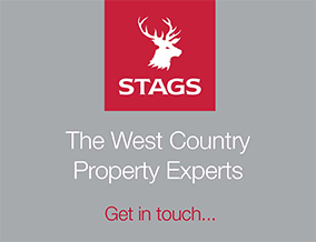 Get brand editions for Stags, Wellington