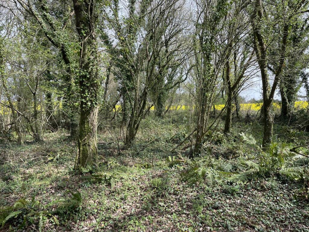 Main image of property: Bishops Tawton, Barnstaple