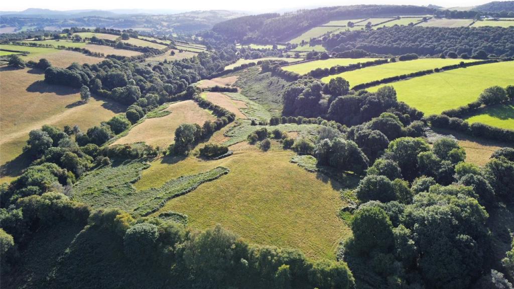 Farm land for sale in Lot Four Willey, Presteigne, Herefordshire