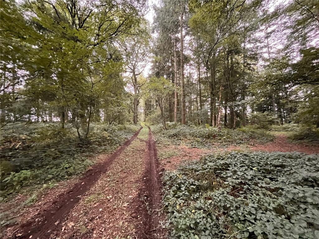 Land for sale in Winforton, Hereford, Herefordshire,, HR3
