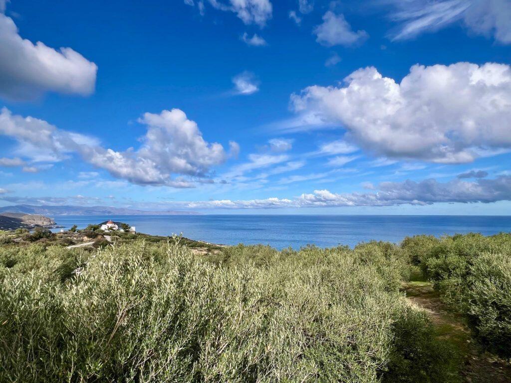 Main image of property: Crete, Lasithi, Mochlos