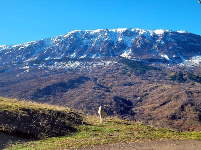 Main image of property: Abruzzo, Pescara, Caramanico Terme