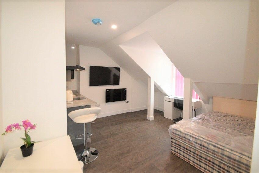 Studio flat for rent in Studio 5 313a Ecclesall Road, S11