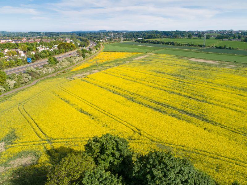 Land for sale in Land At MidNewlands, Laurieston Road, Grangemouth