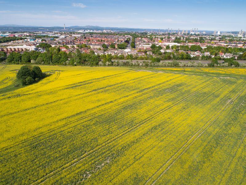Land for sale in Land At MidNewlands, Laurieston Road, Grangemouth