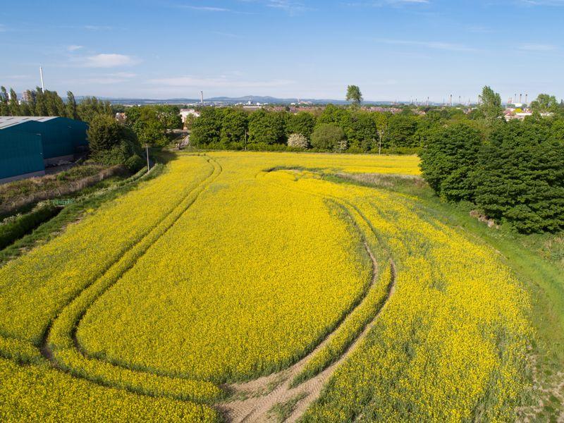 Land for sale in Land At MidNewlands, Laurieston Road, Grangemouth