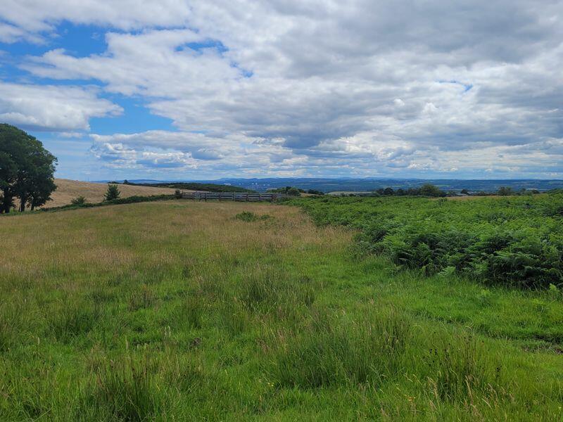 Land for sale in Land at Wester Barnego, Dunipace, Falkirk, FK6 6BQ, FK6