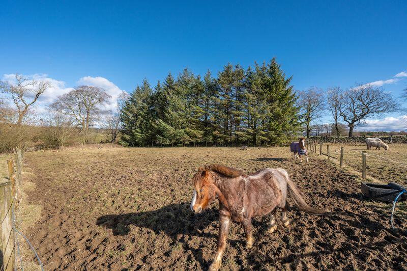 5 bedroom smallholding for sale in 2 Blackfaulds Farm, Avonbridge