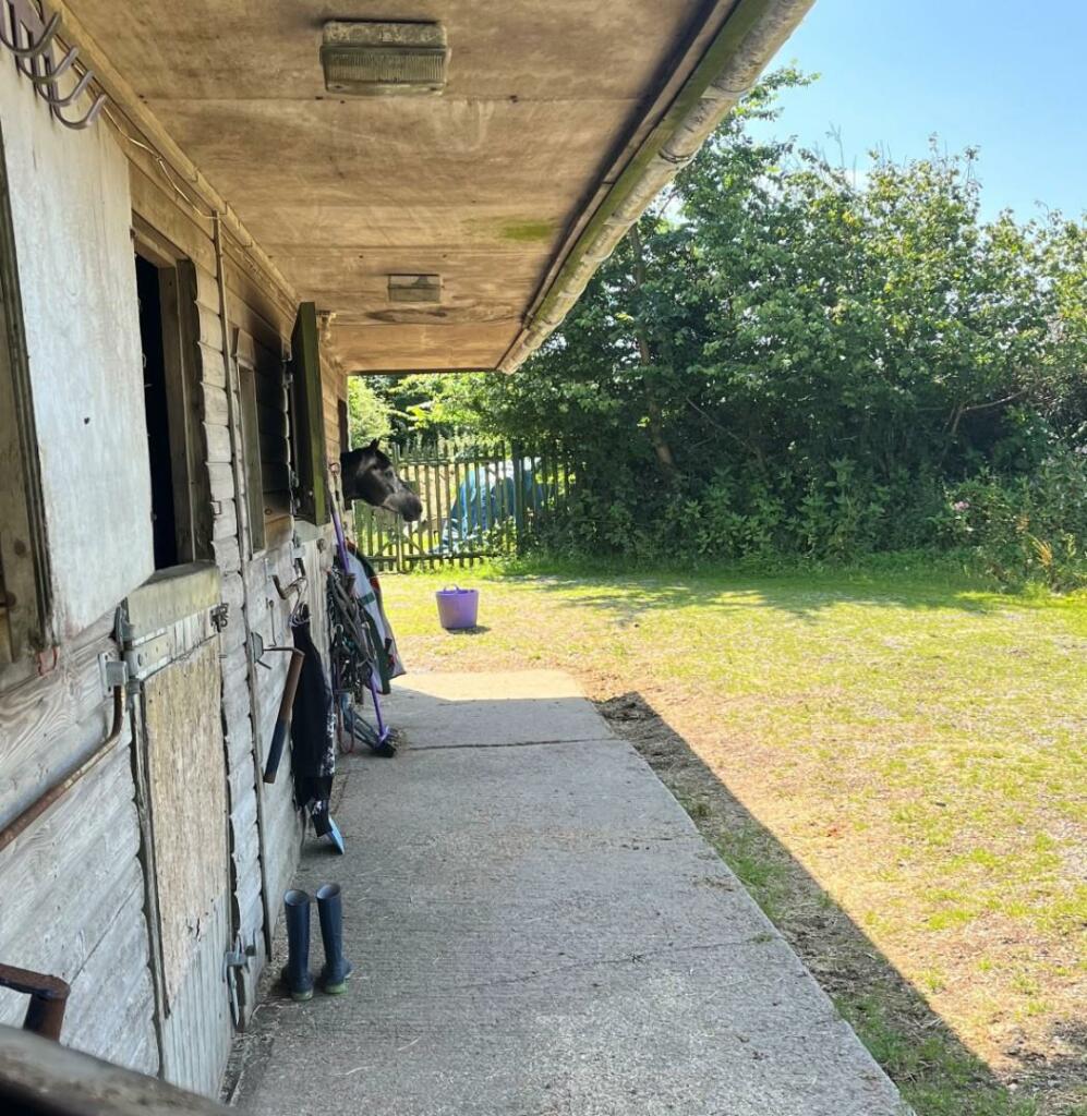 Additional property image - Crossway Stables set within approx 4.25 acres Greenway Road, Bonvilston, Cardiff