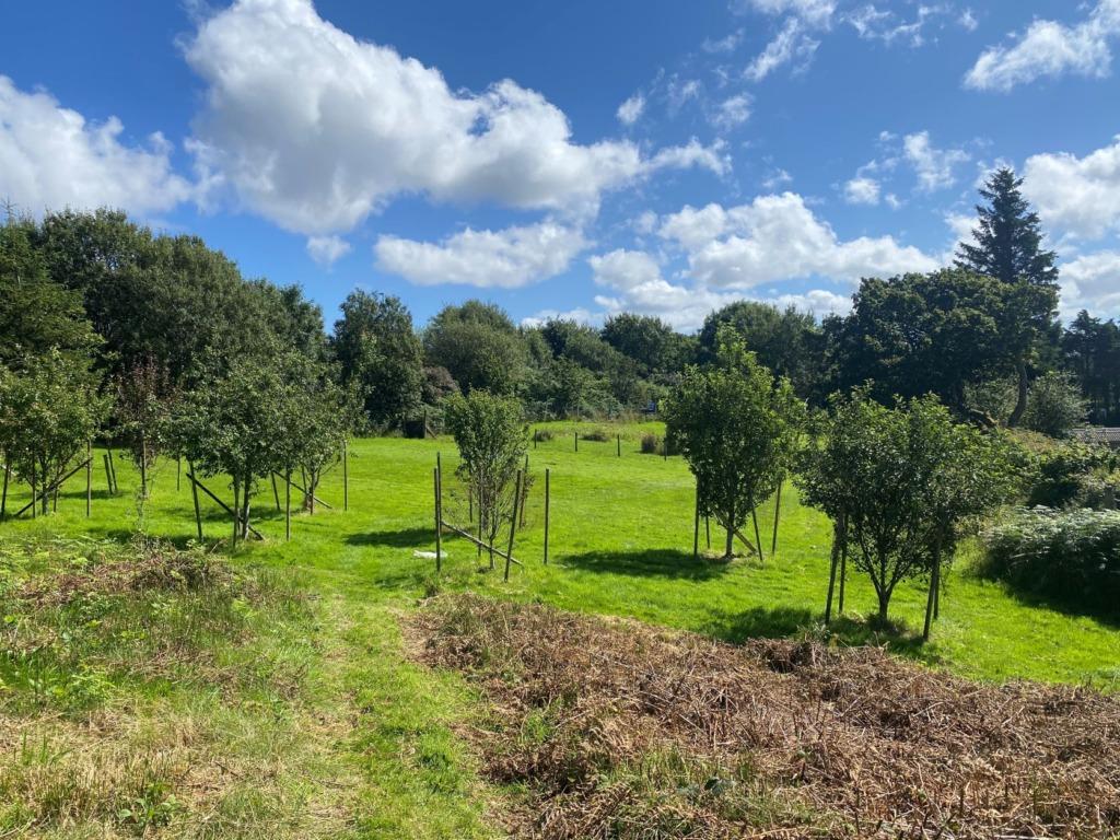 Land for sale in Plot 2, North East of Nightingale House, Arisaig, PH39