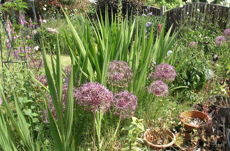 3 bedroom detached house for sale in KINVER, Redwood Road, DY7