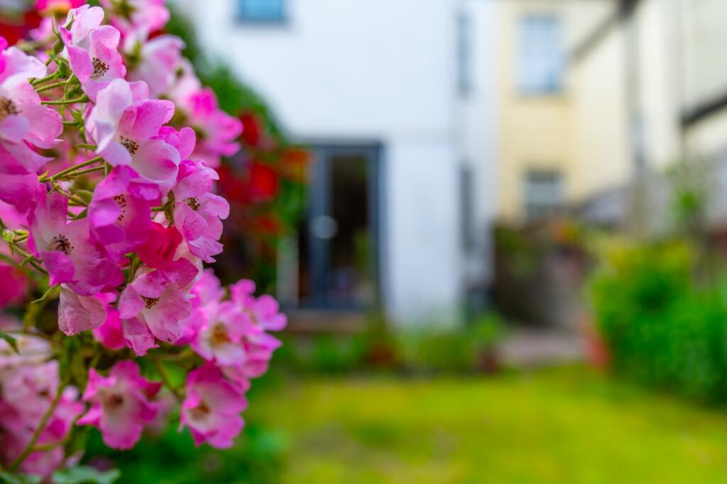 Additional property image - Seymour Street, Splott