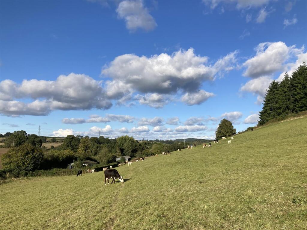 Main image of property: Tuck Mill Lane, Marstow, Ross on Wye