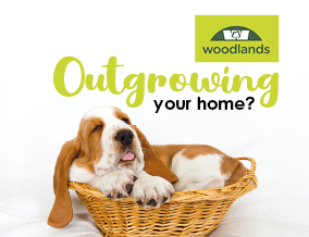 Get brand editions for Woodlands Estate Agents, Horsham