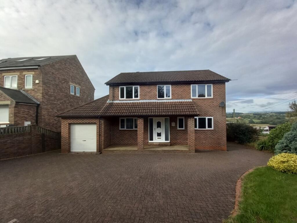 3 bedroom detached house for sale in Lydia Terrace, Newfield,