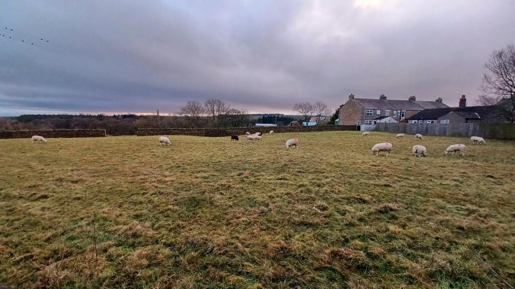 Additional property image - Copley, Bishop Auckland, County Durham, DL13
