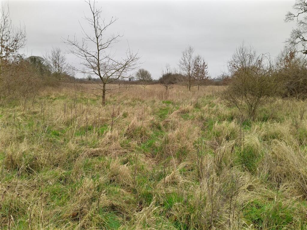 Main image of property: Off Cookes Road and Dodges Lane, Bergh Apton