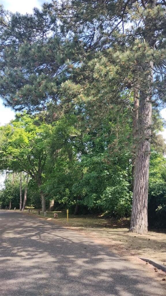 Main image of property: Land at The Spinney, Beccles