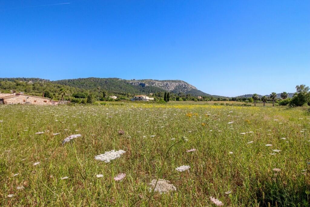 Main image of property: Balearic Islands, Mallorca, Pollensa
