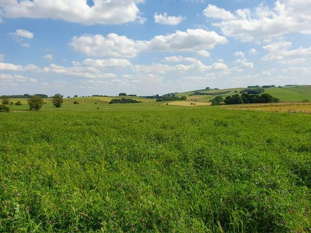 Additional property image - Lot 2 - Lode Lane, Alstonefield, Ashbourne